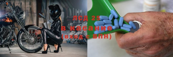 стаф Белокуриха