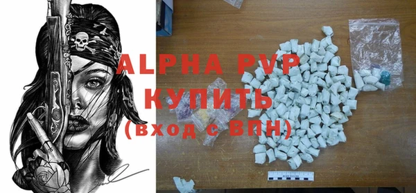 стаф Белокуриха