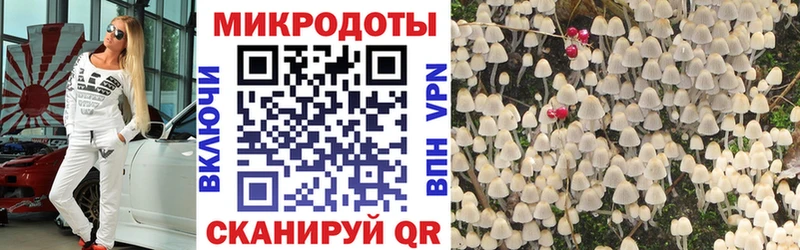 Псилоцибиновые грибы прущие грибы  Озёрск 